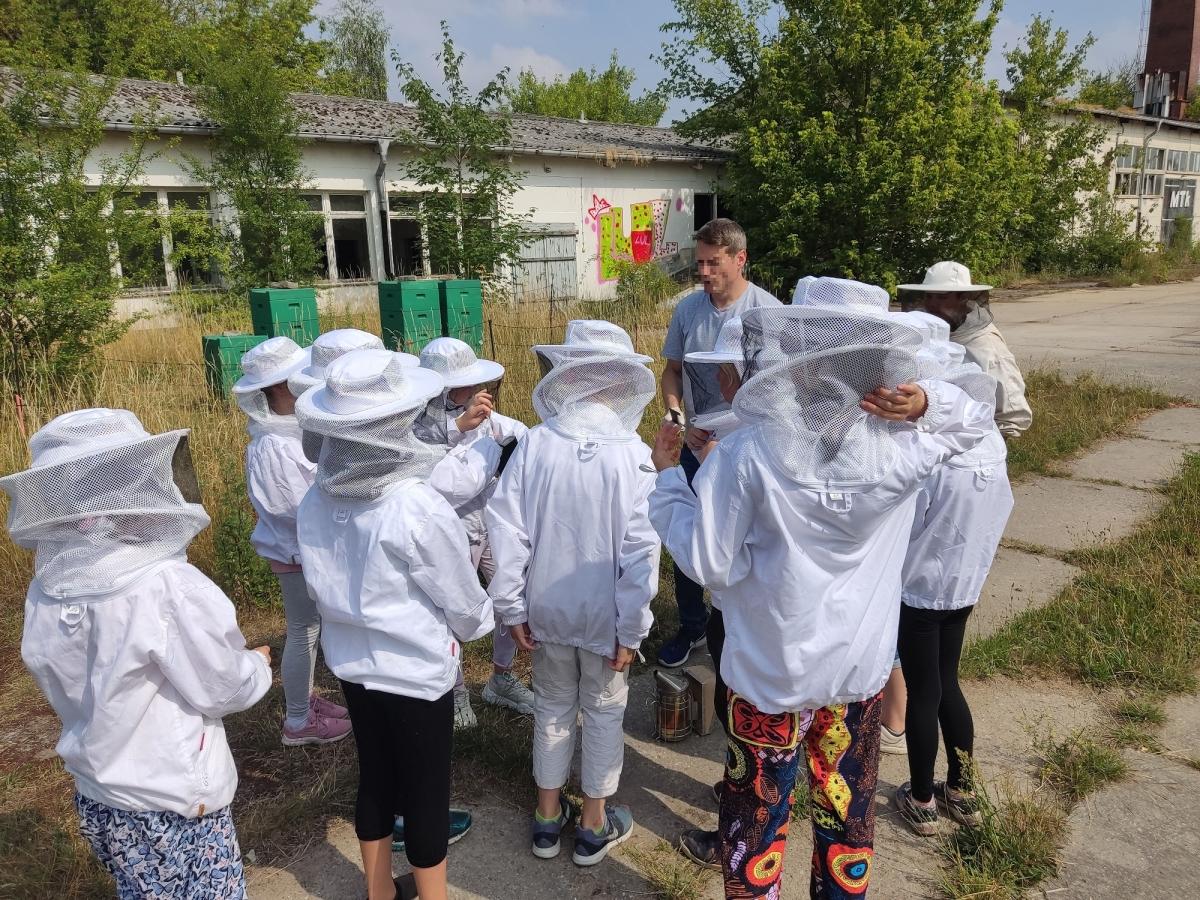 Ausflug Bienenzucht