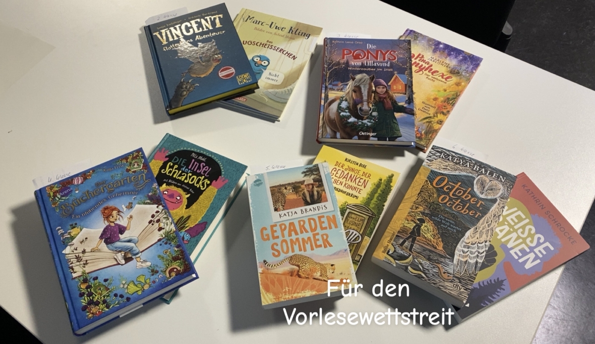 Vorlesewettbewerb Januar 2026